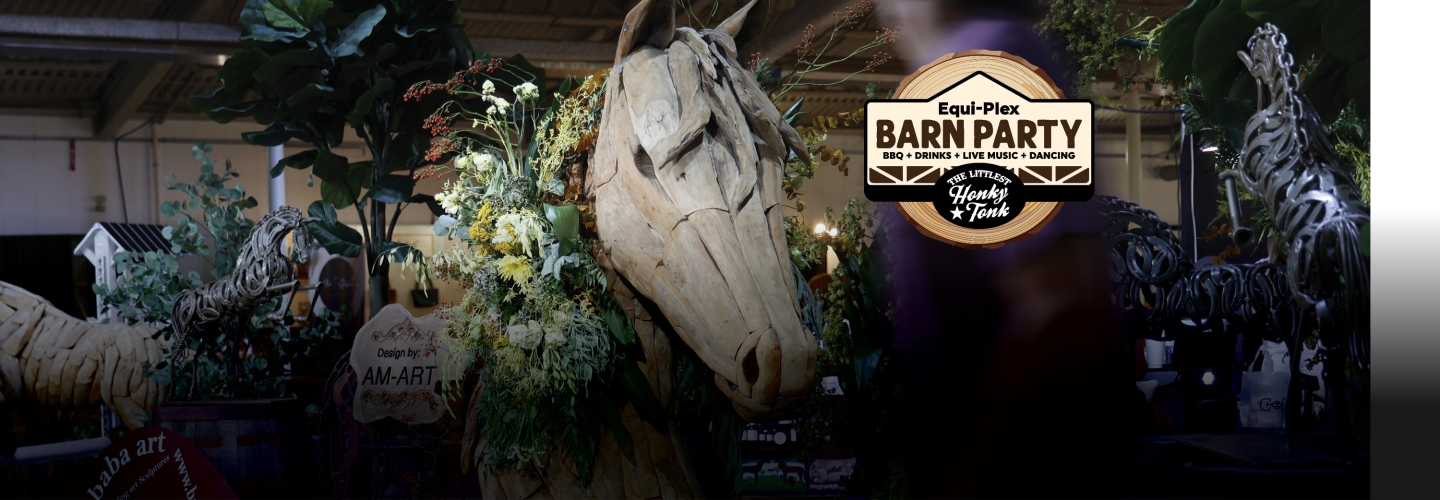 Barn Party + Exclusive Shopping<br>+ GA Ticket Package!