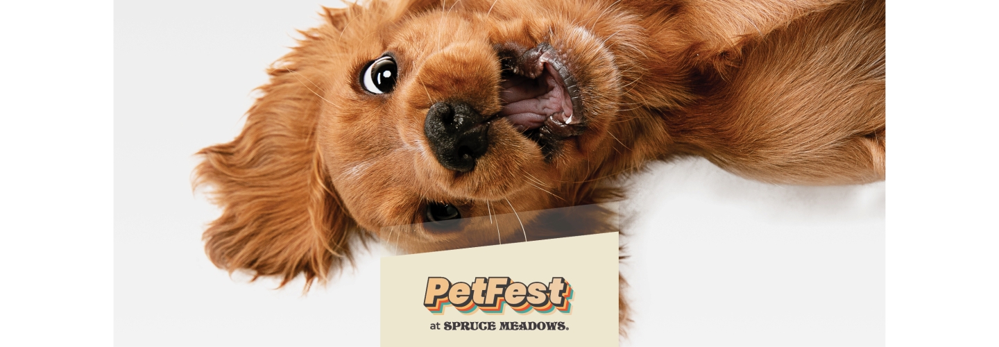 PetFest | April 24�26