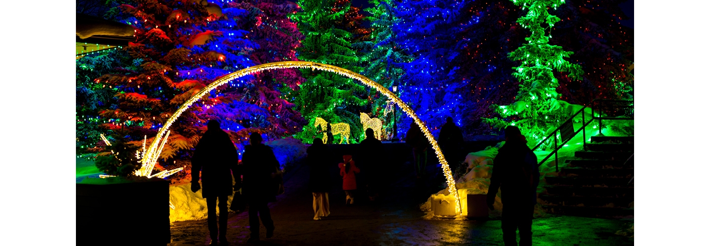Enchanted Festival