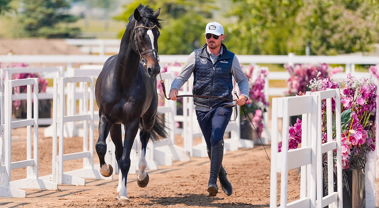 International Ring Ready for the National, CSI5*/2* presented by Rolex