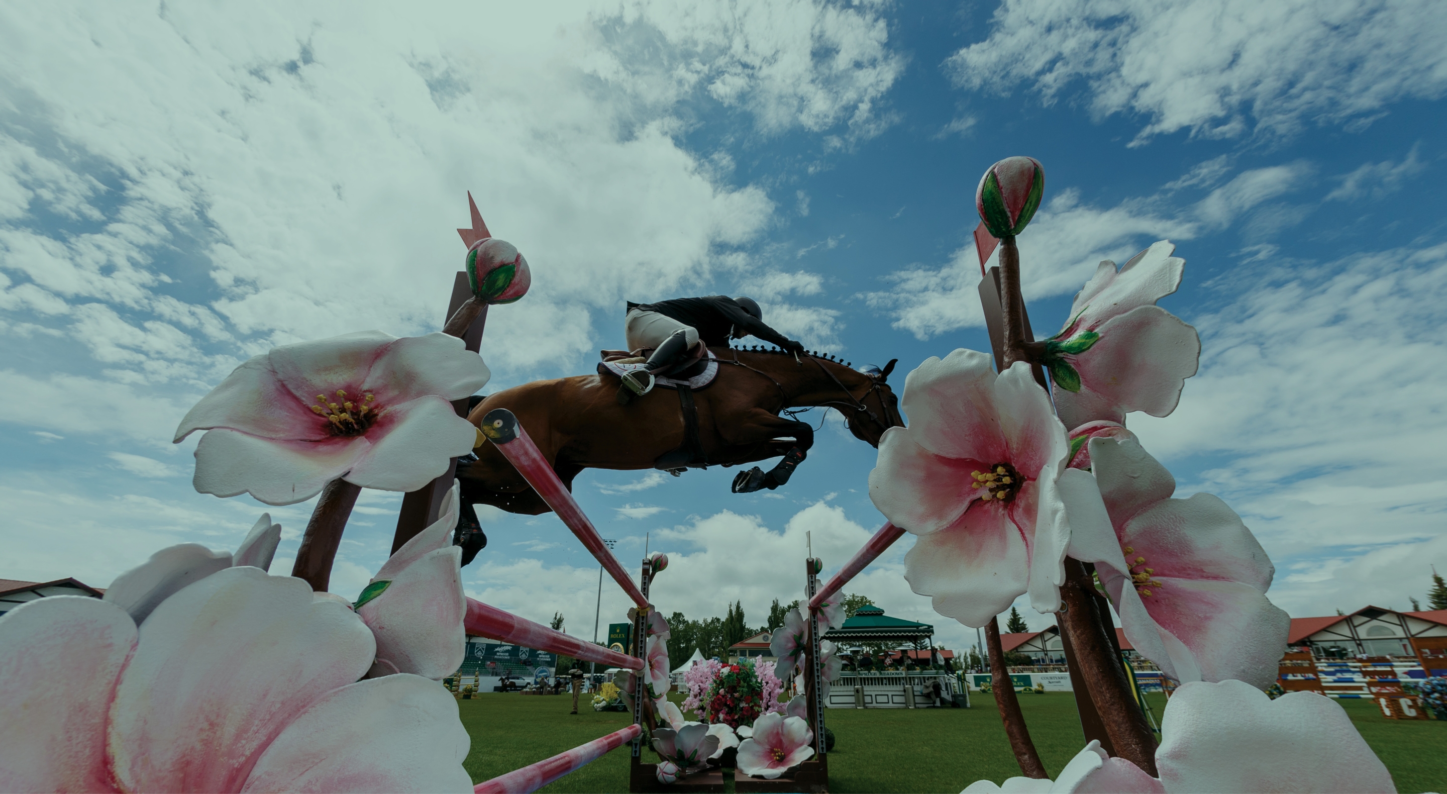This week at the<br>'Pan American', <br>presented by Rolex...