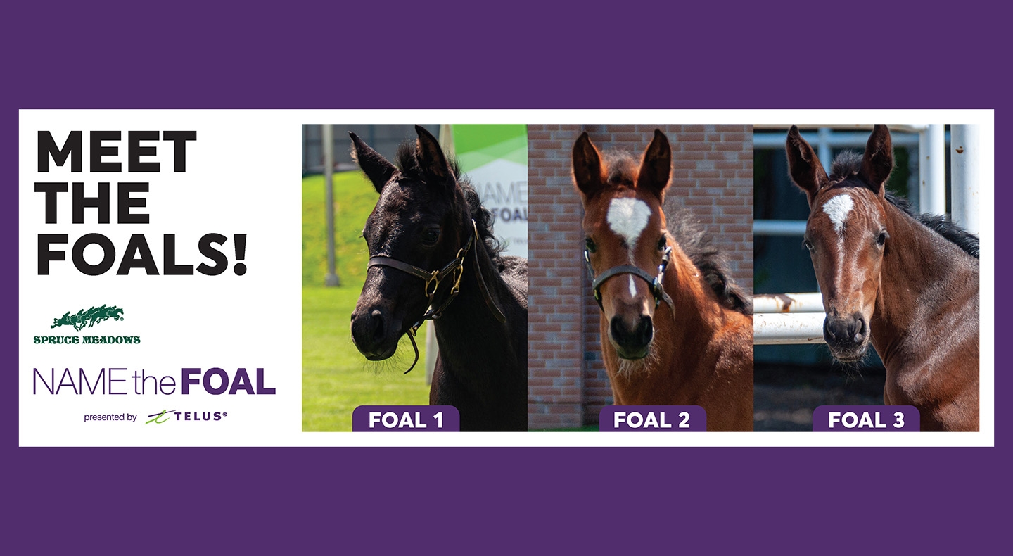 Name the Foal, presented by TELUS starts TODAY!