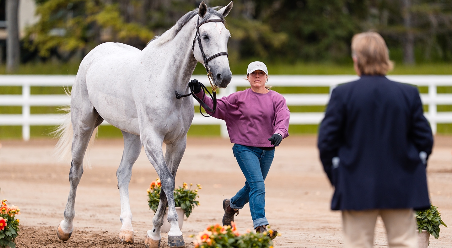 The 2026 Spruce Meadows �National� Begins Tomorrow!
