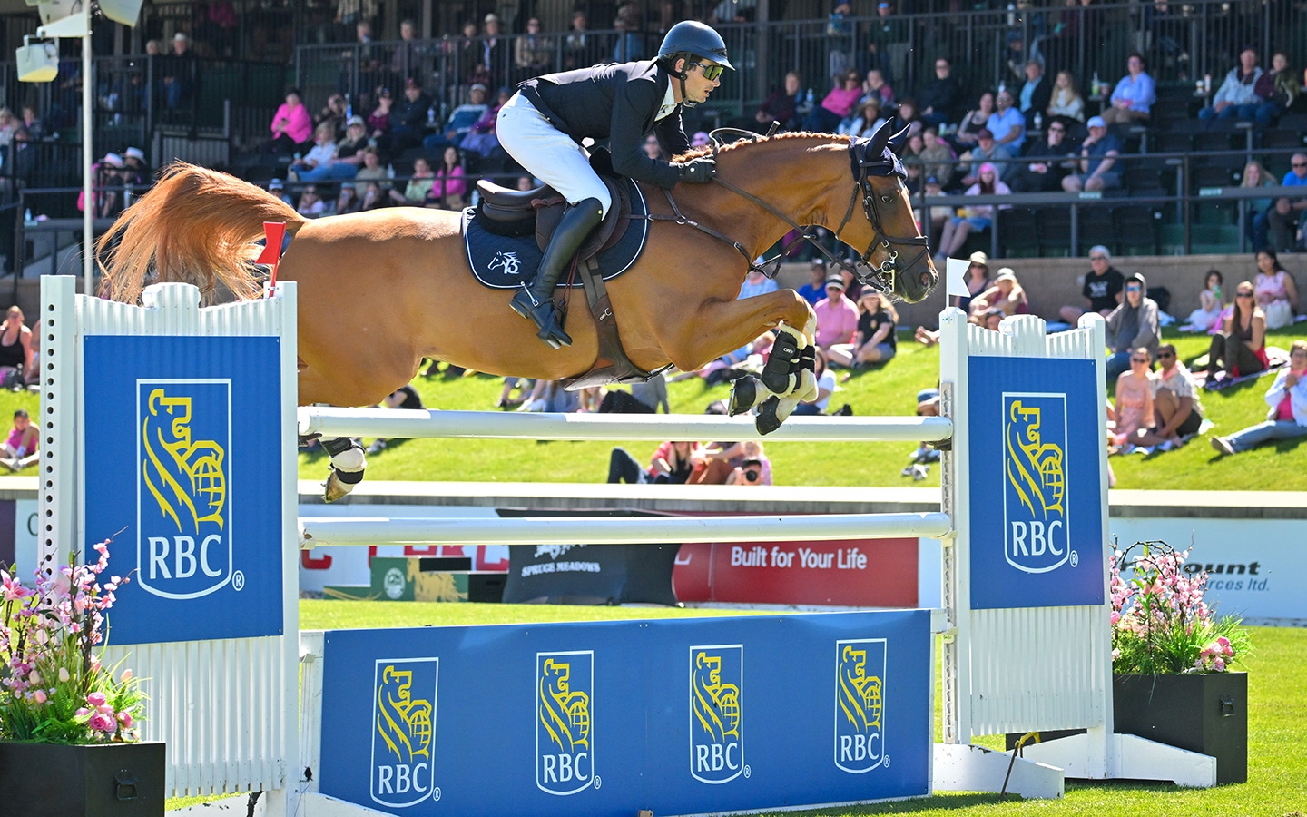 Mark Bluman Triumphs in RBC Grand Prix of Canada, presented by Rolex in Spruce Meadows Debut